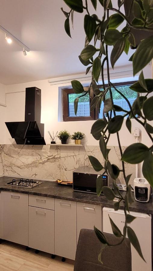 Appartement Luxury Mansion à Bucarest Extérieur photo